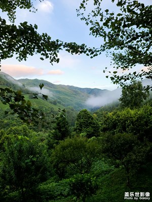 雨后的丫山风景区