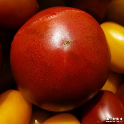 【美好速记】+遇见西红柿