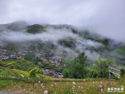 雨雾天看云和梯田