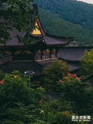 茱萸寺