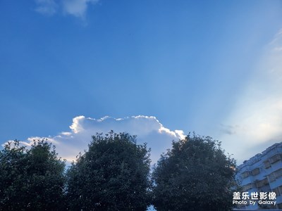 瞧
