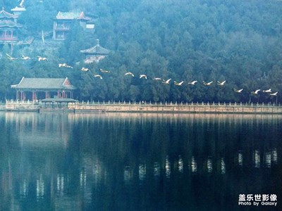 我眼中的颐和园