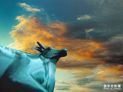 你眼中的颐和园