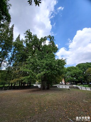 【我生活的地方】+家园美景