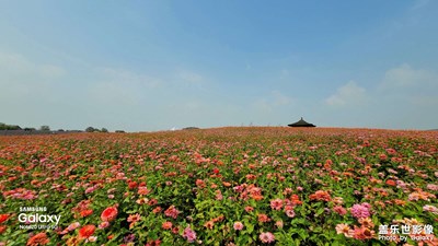 拈花湾“梵天花海”影集