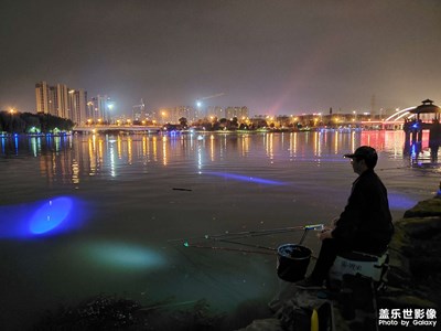 都市夜钓人