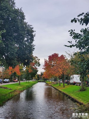 荷兰的多事之秋