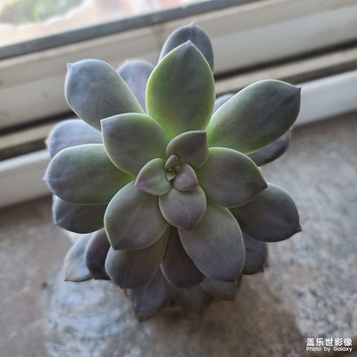 好心情