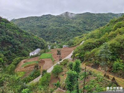 【多彩深秋】丰收的季节