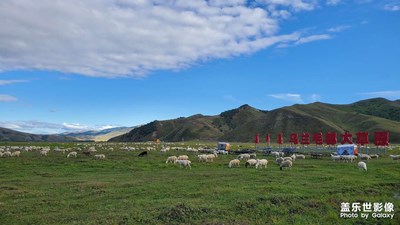 呼伦贝尔大草原（4）