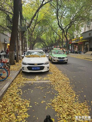 秋风扫落叶，这天气爽