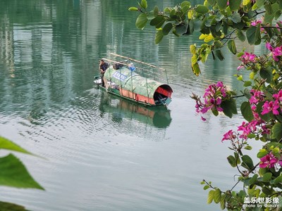 【花花世界】+路边的野花