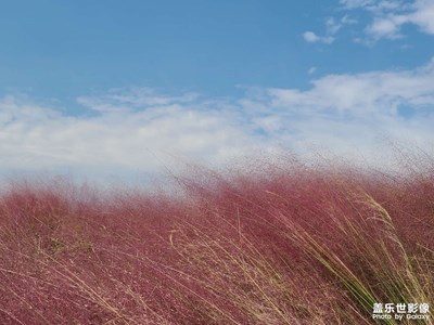 芜湖陶辛秋日(一)