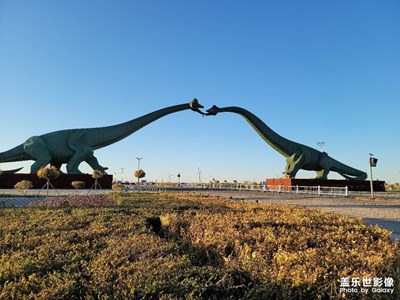 世界最大的恐龙化石发源地－中国二连浩特