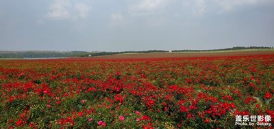 【花花世界】+边走边拍