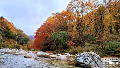 巴山红叶 修仙之处