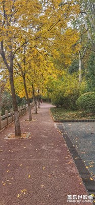路过的秋天