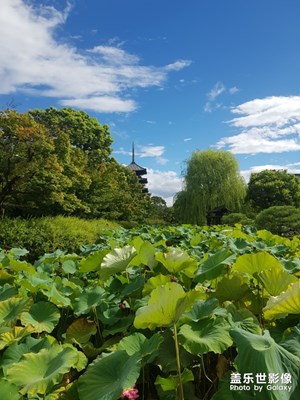 日本