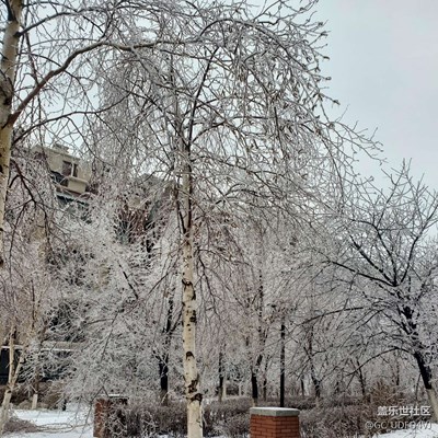 长春入冬的第一场雪。