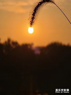太阳水滴