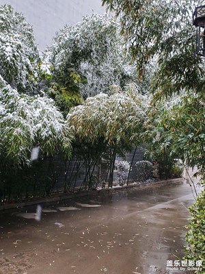 2020年第一场雪