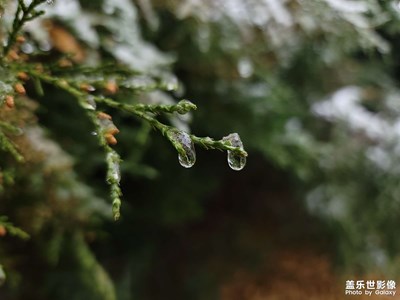 初雪印象