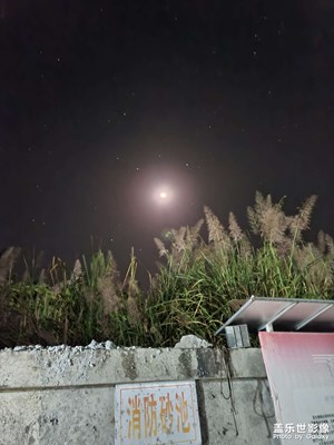 晒一哈夜晚拍摄的