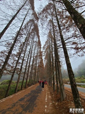 康庄大道