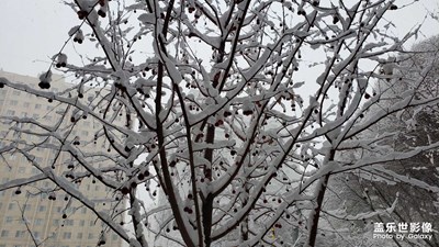 大雪纷飞