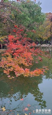 天平山赏枫行