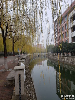 在去医院的路上拍的学校风景