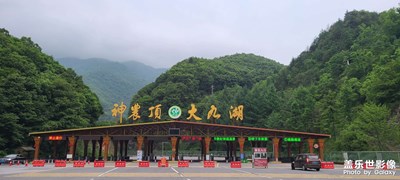 【难忘2020】+爱上摄影