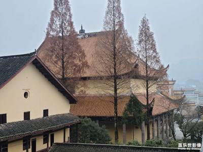 【难忘2020】+2020