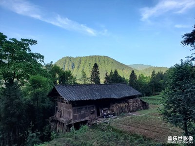 【幸福生活】+这一年的山间邂逅