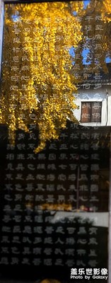孤芳