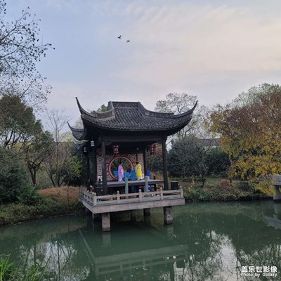 【难忘2020】+我在杭州西溪湿地随拍