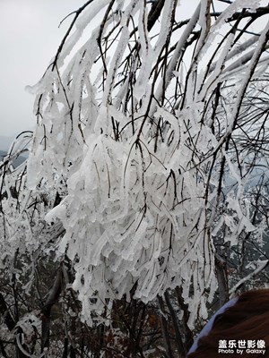 【捕捉精彩】＋南雪