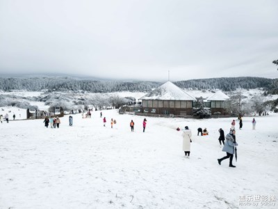 【难忘2020】难忘的重庆仙女山看雪之旅