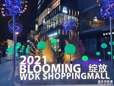 今晚平安夜哦
