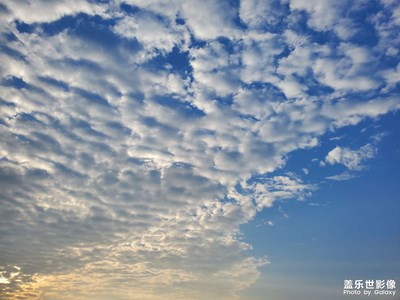 今日早晨