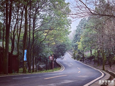 山上的风景