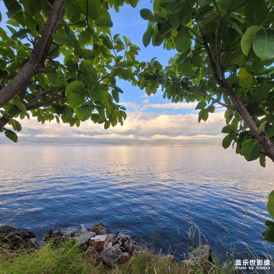 Not20U 拍照可真好看