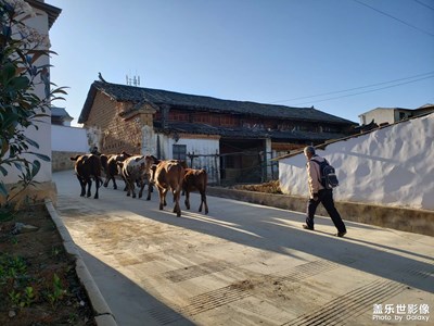 农村纪实