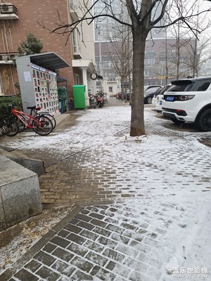 北京今天下雪了