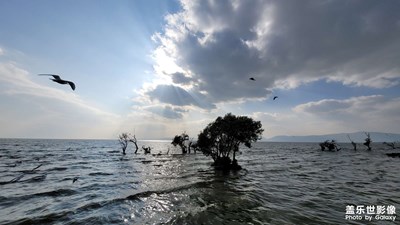 喜水爱听风浪声