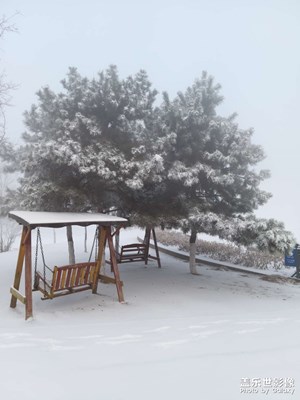 东北的雪