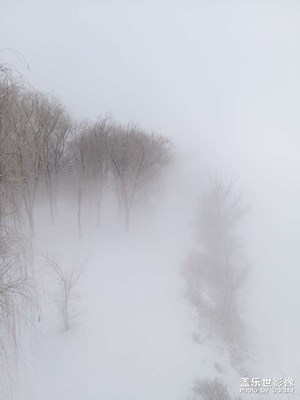 雾里看雪