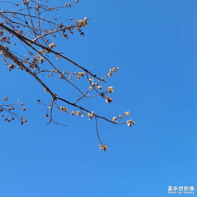 北方冬日的天空