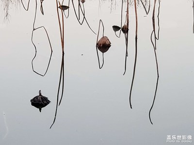 早上的风景