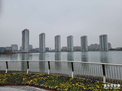 湖中倒影
